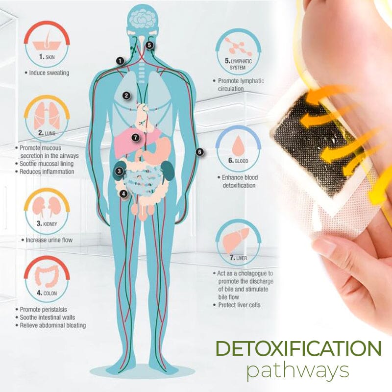 Detoxplus™ Lymphatic Drainage Foot Pads