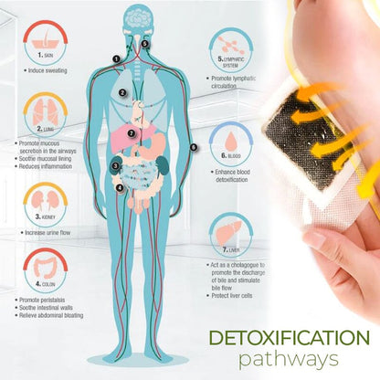 Detoxplus™ Lymphatic Drainage Foot Pads